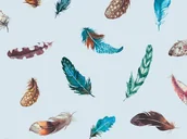 Akcesoria do wystroju okien - Folia statyczna PIÓRKA 45 x 150 cm - miniaturka - grafika 1