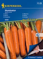 Nasiona i cebule - Marchew Nominator F1 Na Taśmie - miniaturka - grafika 1