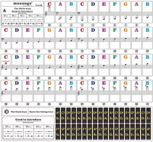 Naklejki nuty na klawisze keyboard pianino kolor - Akcesoria do instrumentów klawiszowych - miniaturka - grafika 1