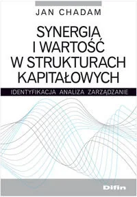 Synergia i wartość w strukturach kapitałowych - Biznes - miniaturka - grafika 1
