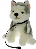 Maskotki i pluszaki - Maskotka Pies Husky na smyczy - 25cm - miniaturka - grafika 1