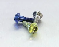 Części motocyklowe - Pro-Bolt TIDISCR1R6 tytanowa przednia śruba do tarczy naturalna - miniaturka - grafika 1