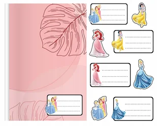 NAKLEJKI NA ZESZYT ZESZYTY NALEPKA 8szt - KSIĘŻNICZKI WZORY Z BAJEK+ POSTACIE - Szkolne artykuły papiernicze - miniaturka - grafika 1