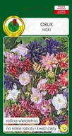 Nasiona i cebule - Orlik Niski Mieszany 1 g PNOS - miniaturka - grafika 1
