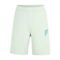 Spodenki męskie - Męskie Spodenki FILA BAIERN OVERSIZED FAM0339-60026 – Zielony - miniaturka - grafika 1