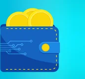 Programy biurowe - Portfel InsERT 100 InsPunktów - miniaturka - grafika 1