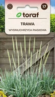 Nasiona i cebule - Trawa Wydmuchrzyca piaskowa nasiona 10 szt. / T / - miniaturka - grafika 1