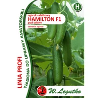 Nasiona i cebule - Ogórek gruntowy sałatkowy Hamilton F1 nasiona warzyw W.Legutko - miniaturka - grafika 1