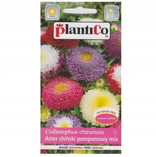 Nasiona Aster Ch. Pomponowy Mieszanka 1 Gram Plantico - Nasiona i cebule - miniaturka - grafika 1