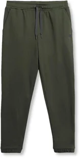 Spodnie dresowe męskie 4F AW23TTROM517 - khaki XXL - Spodnie męskie - miniaturka - grafika 1