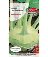 Nasiona i cebule - Nasiona Kalarepa Delikatess Witte 2g - Torseed - miniaturka - grafika 1