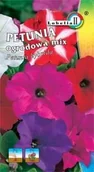 Nasiona i cebule - Petunia ogrodowa mix 0,2g / L / - miniaturka - grafika 1