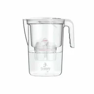 Dzbanki filtrujące - BWT Dzbanek filtrujący VIDA 2,6 l, wskażnik mechaniczny - miniaturka - grafika 1