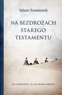 Na bezdrożach Starego Testamentu - Religia i religioznawstwo Na bezdrożach Starego Testamentu - Religia i religioznawstwo - miniaturka - grafika 2