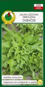Nasiona i cebule - Sałata dębolistna Dubacek 1 g PNOS - miniaturka - grafika 1