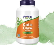 Suplementy naturalne - CAT'S CLAW 500mg (Koci Pazur/ VILCACORA) suplement diety 250 kapsułek NOW - miniaturka - grafika 1