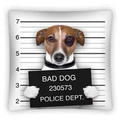 Pościel dla dzieci - Detexpol Poszewka Pies Ps 006 40x40 - miniaturka - grafika 1