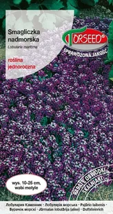 Nasiona Smagliczka nadmorska fioletowa 1g - Torseed - Nasiona i cebule - miniaturka - grafika 1