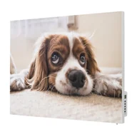 Ogrzewanie przenośne - TERMOFOL Grzejnik na podczerwień z grafiką Piesek TF-SWT700P - miniaturka - grafika 1