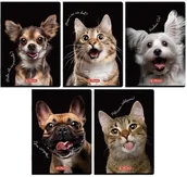 Zeszyty szkolne - Zeszyt do słówek A6/16K kratka Crazy Animal20szt - miniaturka - grafika 1