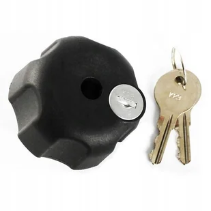RAM Mount Blokada z Kluczem Zabezpieczenie Przed Kradzieżą Do Ramion C 1.5" - Uchwyty samochodowe do telefonów - miniaturka - grafika 1