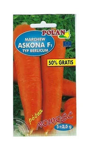 Marchew jadalna Askona - mieszaniec 7,5 g POLAN - Nasiona i cebule - miniaturka - grafika 1