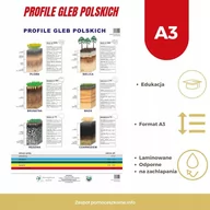 Plakaty - Profile glebowe plansza podkładka A3 - miniaturka - grafika 1