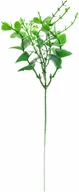 Wielkanoc - Gałązka bukszpanu - 20 cm - 1 szt. - miniaturka - grafika 1