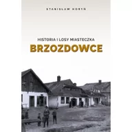 Powieści - Salwator Historia i losy miasteczka Brzozdowce Stanisław Horyń - miniaturka - grafika 1