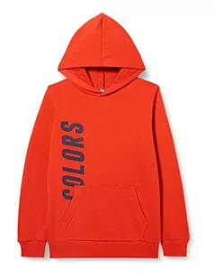 United Colors of Benetton Chłopięca bluza z kapturem z długim rękawem, ciemnoczerwony 29l, 120 - Bluzy dla chłopców - miniaturka - grafika 1
