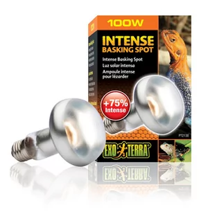 Hagen HAGEN EXO TERRA ŻARÓWKA SUN GLO TIGHT BEAM 100W - Akcesoria do terrarium - miniaturka - grafika 1
