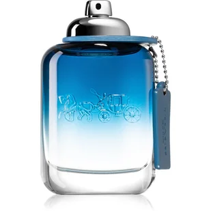 Coach Blue Man Woda toaletowa 100ml - Wody i perfumy męskie - miniaturka - grafika 1