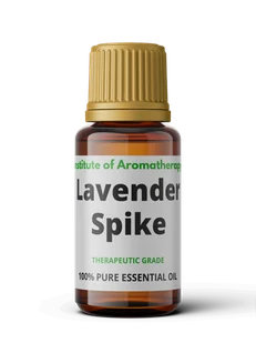 Olejek eteryczny LAWENDY SZEROKOLISTNEJ (SPIKA) organiczny - migreny i napięcie nerwowe - Aromaterapia - miniaturka - grafika 1