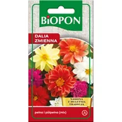 Nasiona i cebule - Dalia zmienna mieszanka 1 g BIOPON - miniaturka - grafika 1