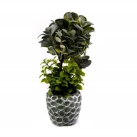 Sztuczne kwiaty - Zielona Roślina W Doniczce Dekoracja Różne Wzory - miniaturka - grafika 1