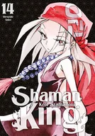 Komiksy dla młodzieży - Shaman king. Tom 14 - miniaturka - grafika 1