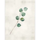 Obrazy i zdjęcia - Obraz DECOBOX 50 x 70 cm płótno 5070,003 gałązka - miniaturka - grafika 1