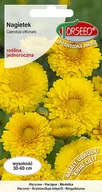 Nasiona i cebule - Nasiona Nagietek słomkowożółty 3g - Torseed - miniaturka - grafika 1