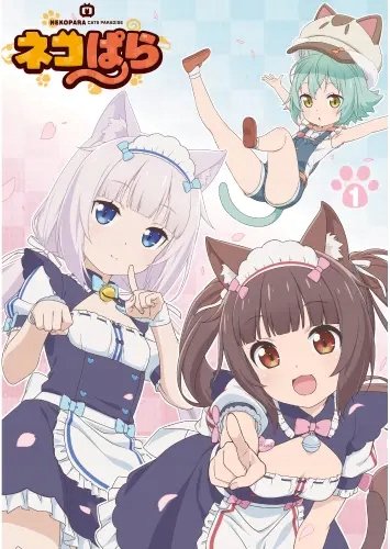 Plakat Anime Manga Nekopara np_001 A2 (custom)