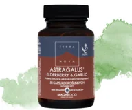 Suplementy naturalne - ASTRAGALUS, ELDERBERRY & GARLIC (traganek, czarny bez, czosnek) 100 kapsułek TERRANOVA - miniaturka - grafika 1