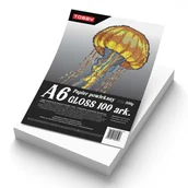 Szkolne artykuły papiernicze - Papier A6 powlekany kredowany gloss 100 ark.350g - artykuł papierniczy - miniaturka - grafika 1