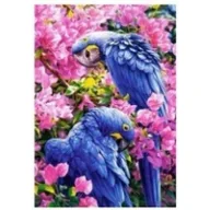 Malowanie po numerach - Norimpex Malowanie po numerach Papugi fioletowe w kwiatach - miniaturka - grafika 1