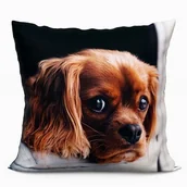 Poszewki na poduszki - PODUSZKA DEKORACYJNA Z NADRUKIEM 40X40 PIES - miniaturka - grafika 1