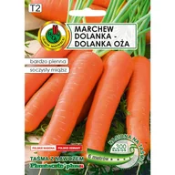 Nasiona i cebule - Marchew jadalna Dolanka nasiona na taśmie 6m Pnos - miniaturka - grafika 1