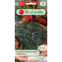 Legutko Koper AMBROZJA 5g Nas000183 - Nasiona i cebule - miniaturka - grafika 1