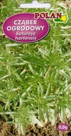 Nasiona i cebule - Cząber ogrodowy 0.5 g POLAN - miniaturka - grafika 1