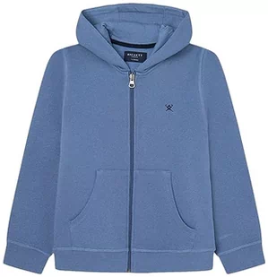 Hackett London Chłopięca bluza z kapturem Hackett Graphic Fz HDY, niebieski (stalowy niebieski), 7 Lat - Bluzy dla chłopców - miniaturka - grafika 1
