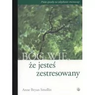Poradniki psychologiczne - Salwator Bóg wie że jesteś zestresowany - Smollin Anne Bryan - miniaturka - grafika 1