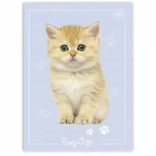 Zeszyty szkolne - Interdruk Zeszyt do słówek A6 70g UV Puppy Sign kratka 32 kartki - miniaturka - grafika 1