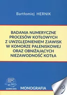 Technika - Badania numeryczne procesów kotłowych z uwzględnieniem zjawisk w komorze paleniskowej oraz obniżających niezawodność kotła - miniaturka - grafika 1